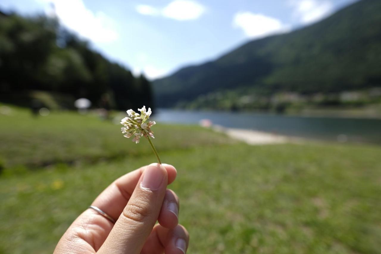 B&B Relais Dolomiti Bedollo Zewnętrze zdjęcie