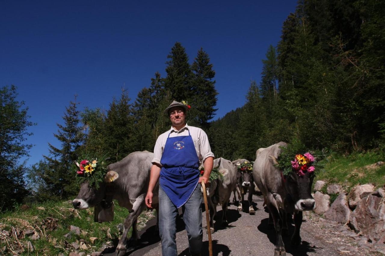 B&B Relais Dolomiti Bedollo Zewnętrze zdjęcie